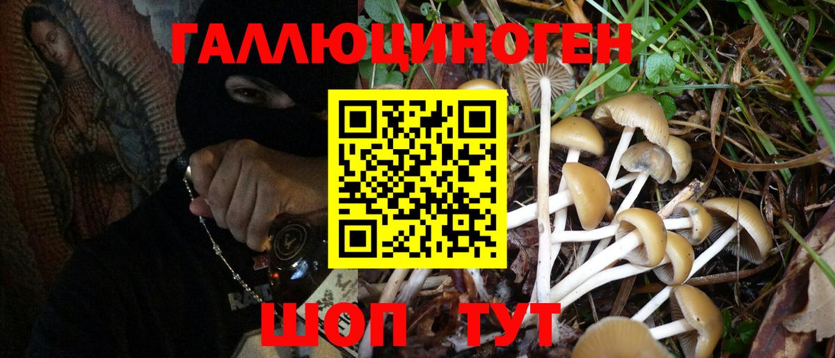 Псилоцибиновые грибы GOLDEN TEACHER Мыски